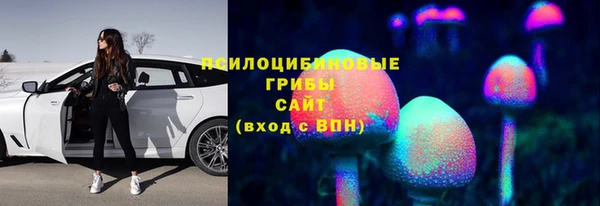 mix Богородицк